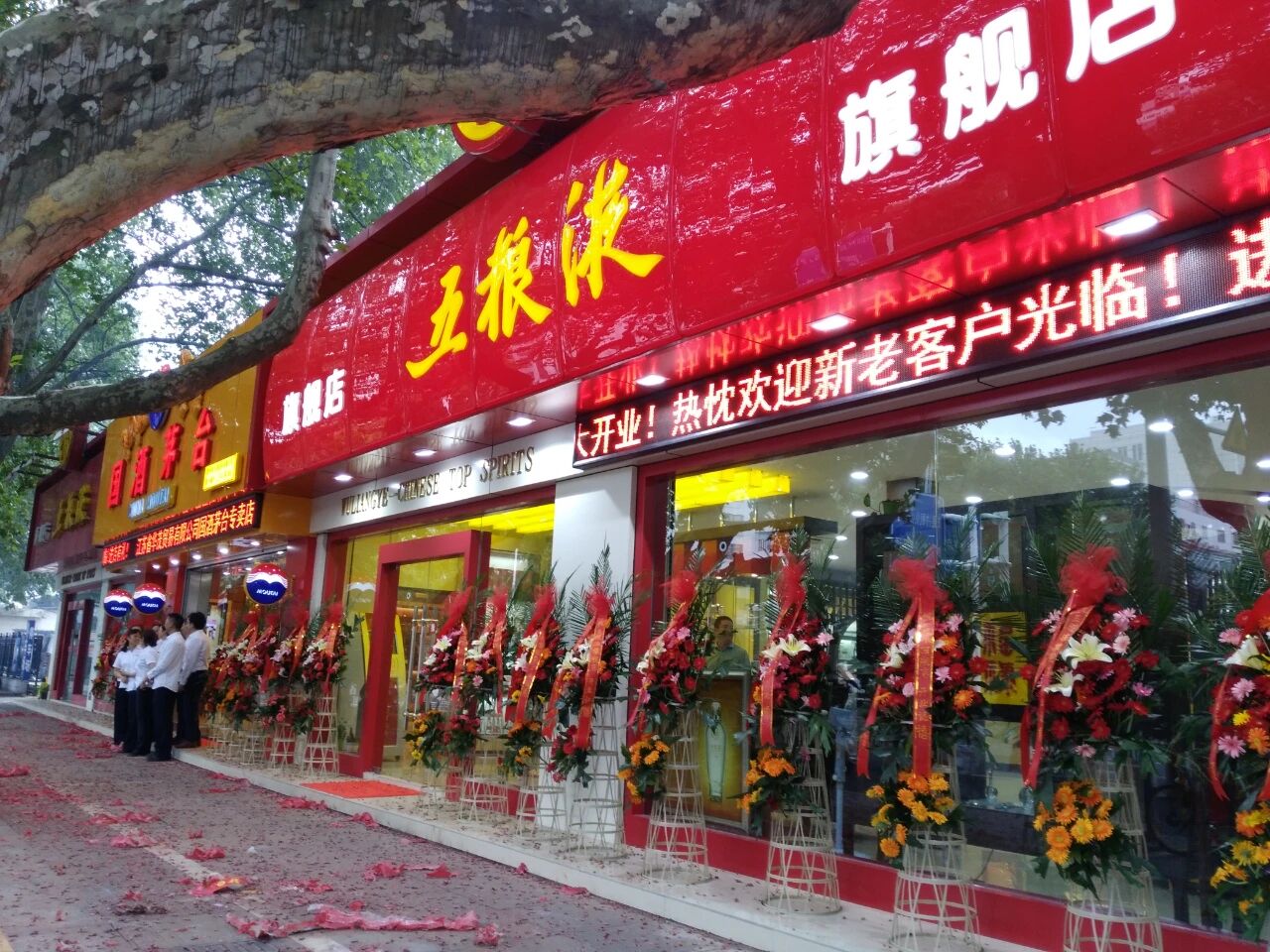39.jpg 39.jpg